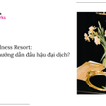Wellness Resort Tại sao mô hình này trở thành xu hướng dẫn đầu hậu đại dịch hotelworks.com.vn